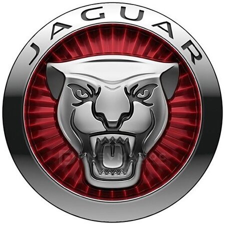 Пневмоподушка Jaguar XJ X351 передняя левая