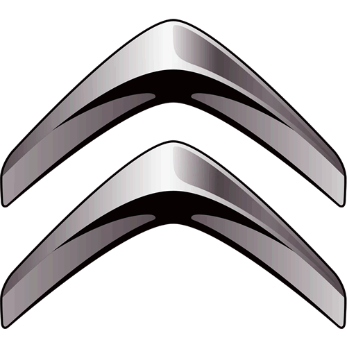 Пневмоподушка Ситроен